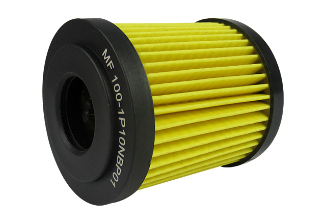 MF1001P10NBP01